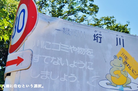 liveyashio04.jpg