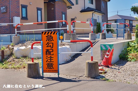 liveyashio05.jpg