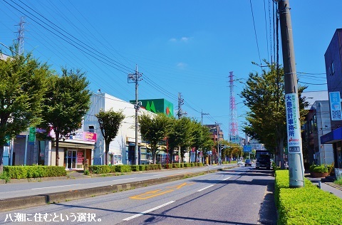 liveyashio42.jpg
