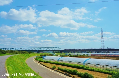 liveyashio54.jpg